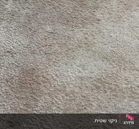 שטיח בצבע בז